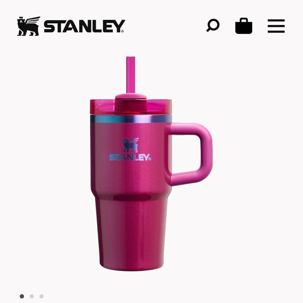 Stanley valentine day 20 oz quencher